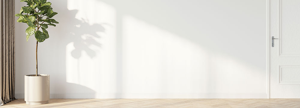 Futurelife-home2-slideshow